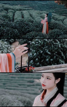 九疑 山路元无雨，空翠湿人衣