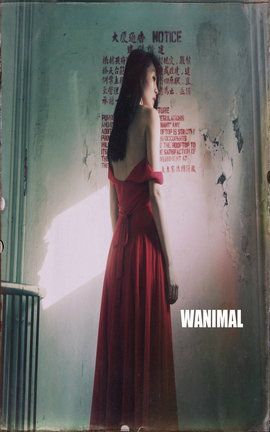 王动WANIMAL大尺度写真 2014.11 VIP图集2