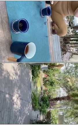 魔镜街拍-视频m210501s2[960X540][35秒]_丽丝库