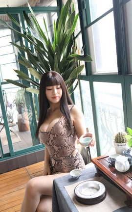 精选街拍作品 NO.0351 范家辉魔BUY第一篇 蛇纹包臀裙丝袜美女_丽丝库