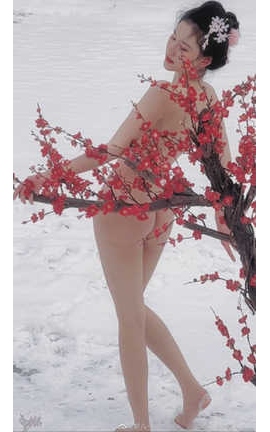 禅院熏 其他散图合集 part49_丽丝库