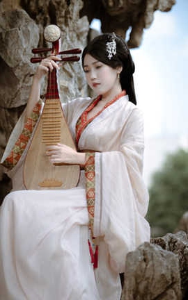 不呆猫 战国袍_丽丝库