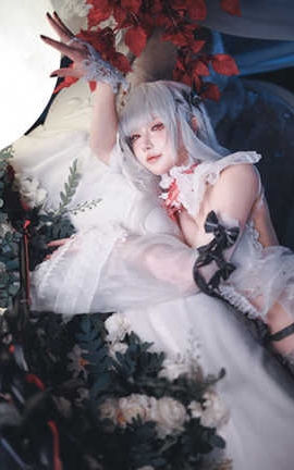 阿包也是兔娘 无期迷途 可可莉克_丽丝库