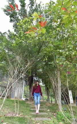 精选街拍作品 NO.0884 小海街拍作品 穿了 偷偷给你看一眼 看到了吗 part3_丽丝库